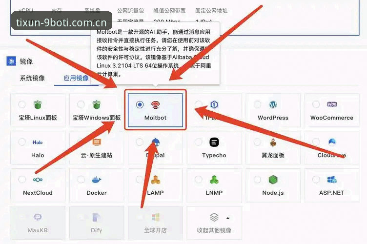 9博体育平台最新版本使用教程：BOTI最新版本必备功能与安装指南